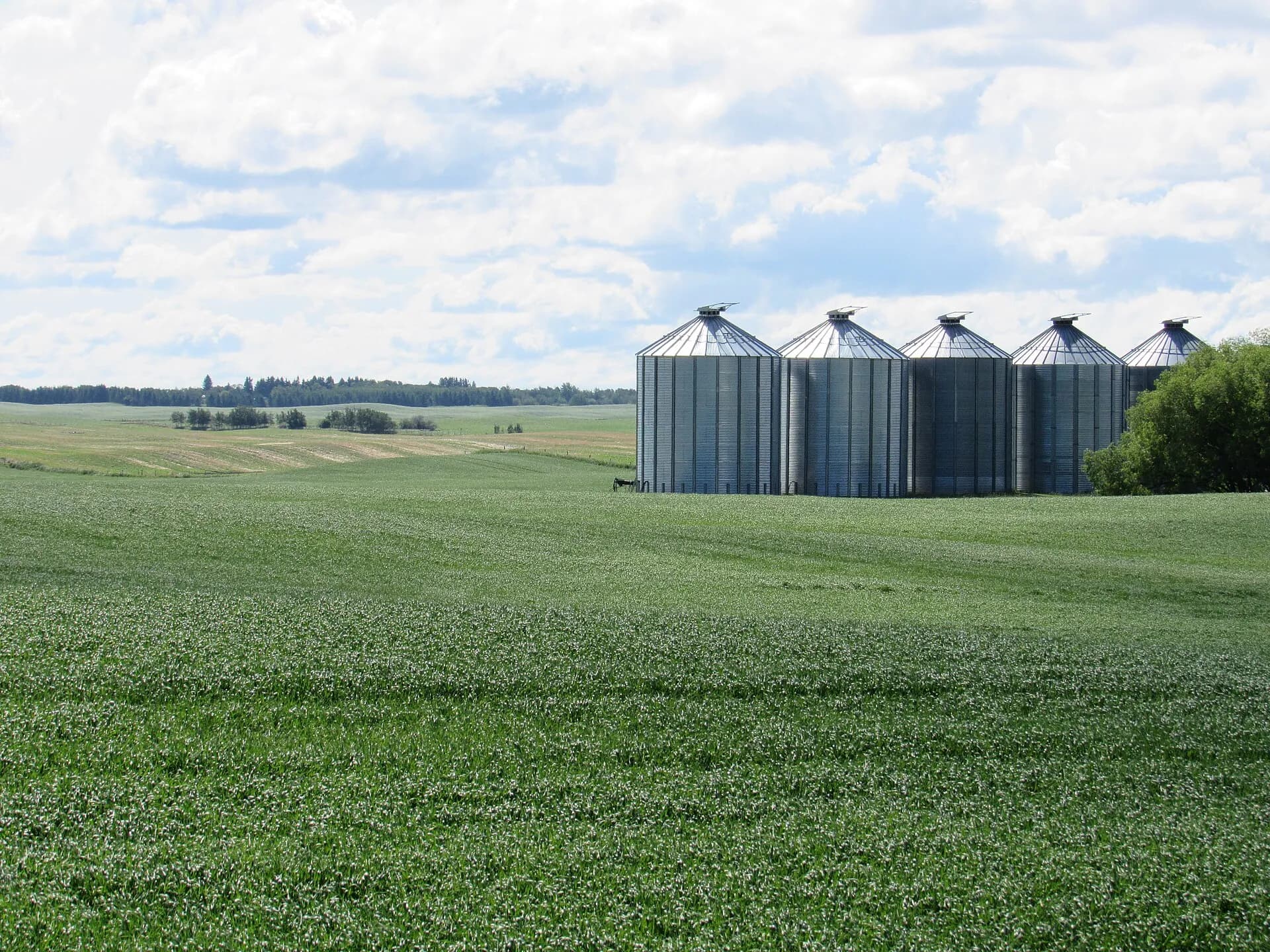 Silos de armazenagem de grãos na lavoura